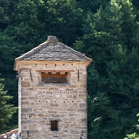 Delle Terme Santa Agnese Отель Баньо-ди-Романья